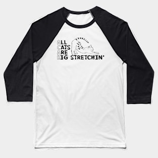 All Cats Are Big Stretchin' Baseball T-Shirt